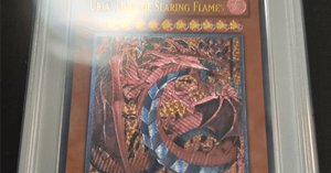遊戯王 MTG PSA鑑定品　まとめ売り　初期　旧アジア　レリーフ　等 遊戯王】旧アジアレリーフPSAについての調査 第2回｜オブチ1号