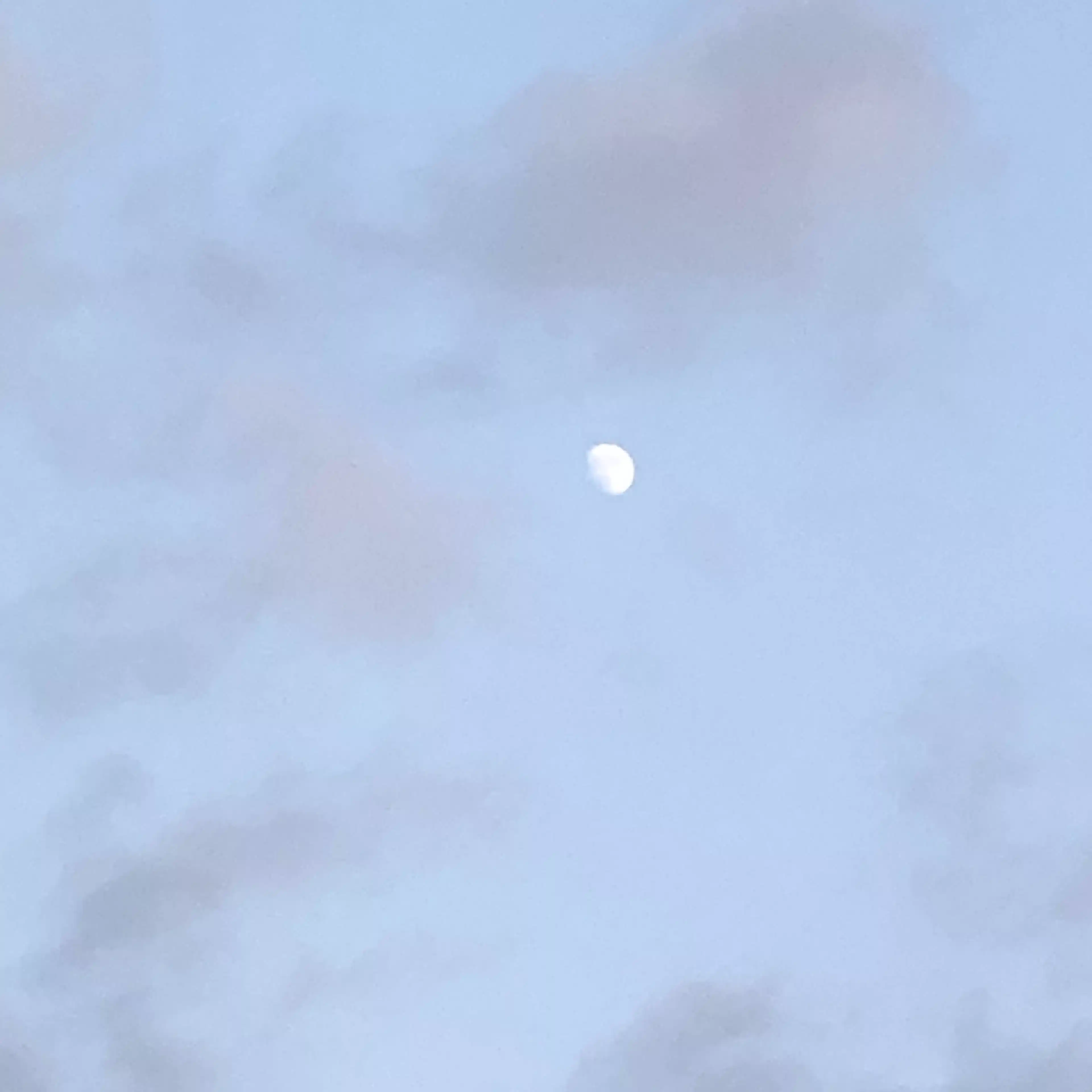 oharu_n