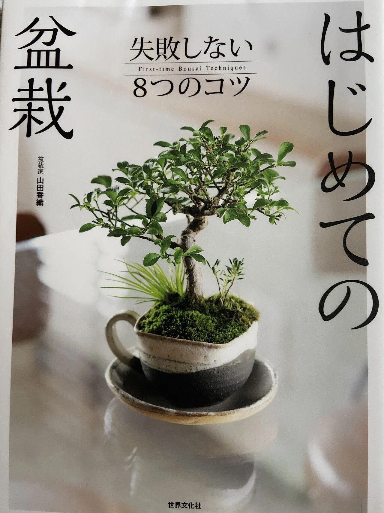 7月14日のタイムは盆栽をかじって、未来を作ることにした😆|佐藤タイム 7月14日のタイムは盆栽をかじって、未来を作ることにした😆|佐藤タイム