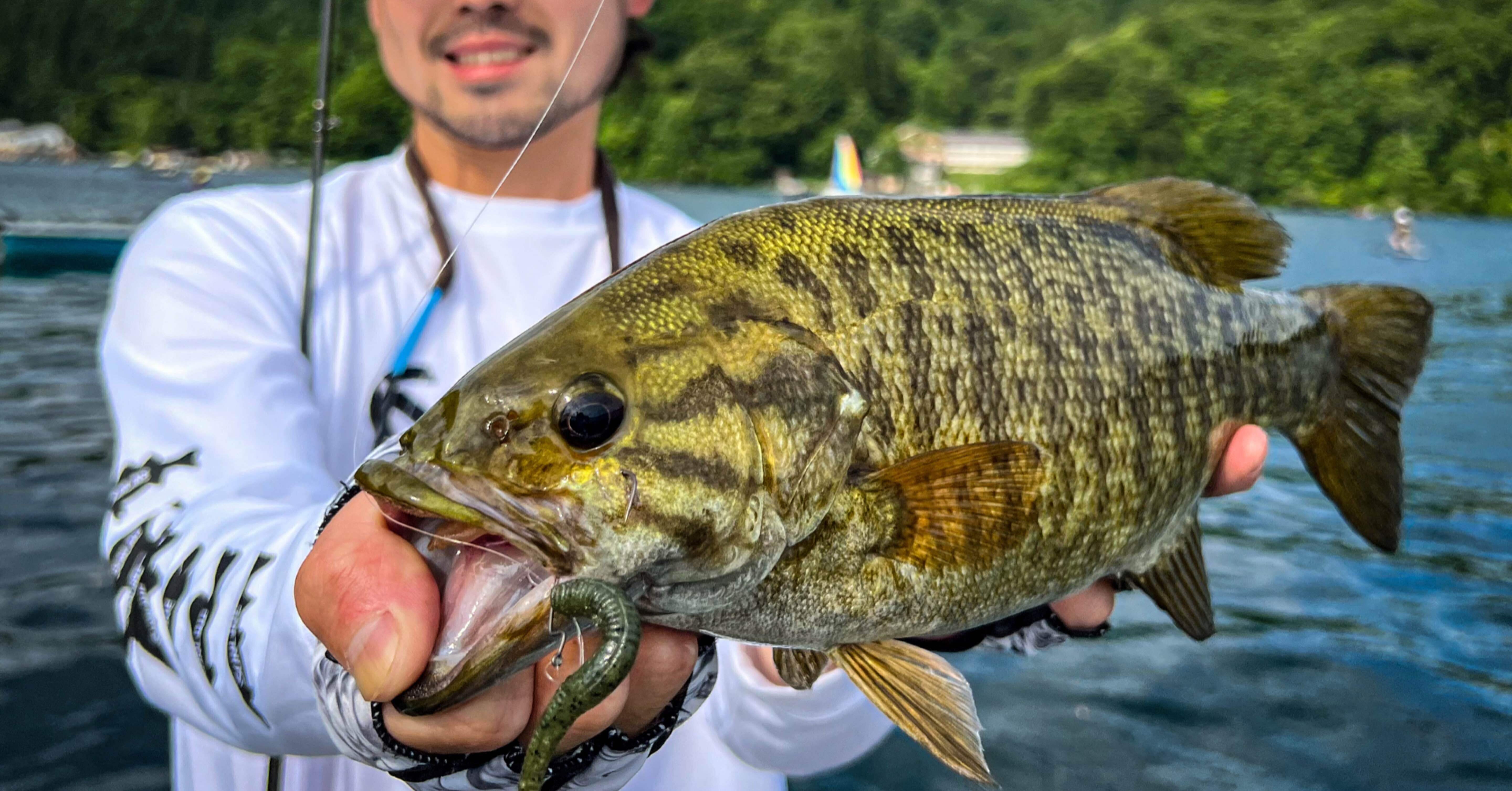 初スモールが釣りたくて長野県野尻湖へ…』人生釣り三昧#69｜かずおか🎣