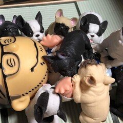 槇原敬之　フィギュア Amazon.co.jp: 槇原敬之 会場限定 首振りフィギュア : おもちゃ