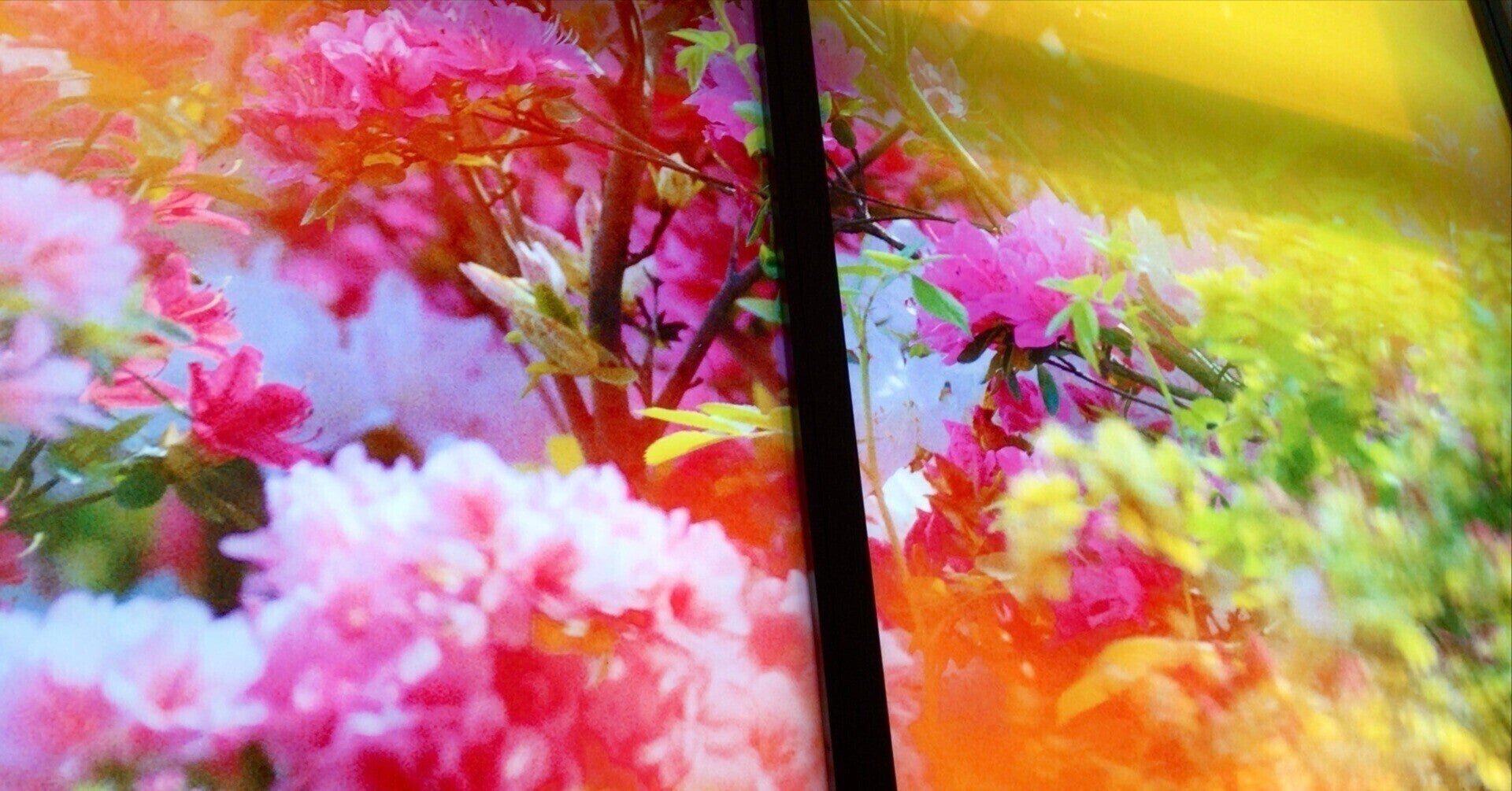 写真あり 蜷川実花 瞬く光の庭 を本音レポート 22年夏アート展 おとな女子のホンネ情報局 Note 写真あり 蜷川実花 瞬く光の庭 を本音レポート 22年夏アート展 おとな女子のホンネ情報局 Note