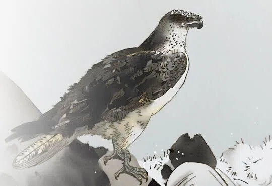 第2133回 色んな鳥の和名 ⑶|翆野 大地