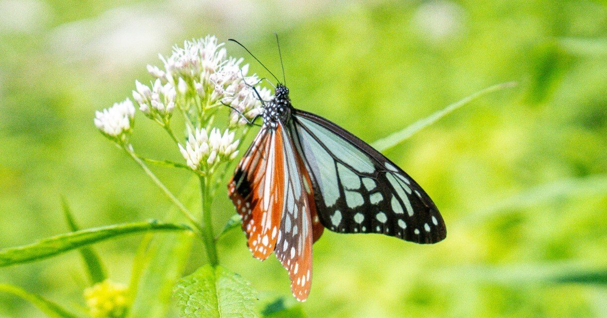 bf29a6f82958e72b59f6ec2861ca72