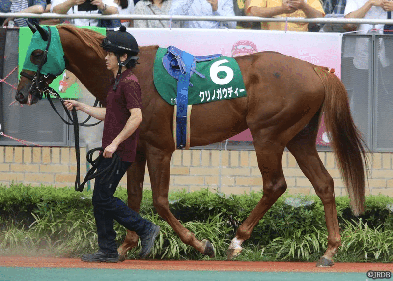 2022中京記念 過去5年傾向 （外厩・指数・パドック）｜JRDB 競馬