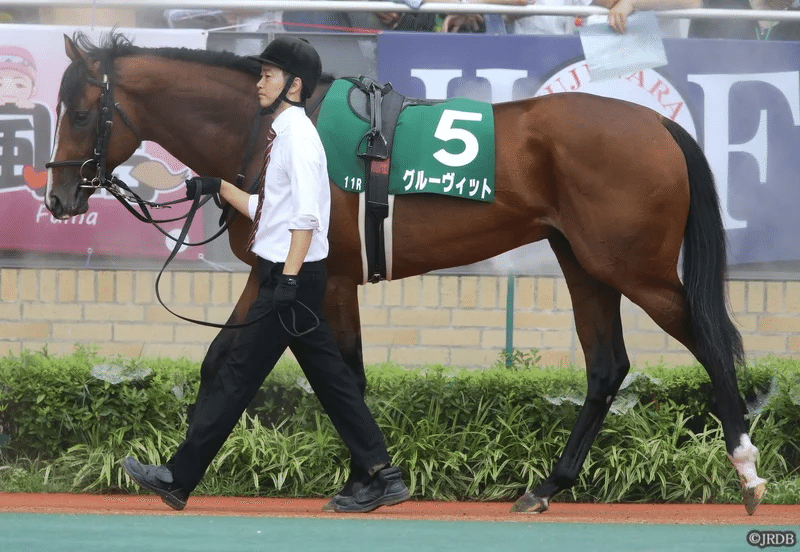 レア　矢作厩舎　最多賞金獲得　記念　ネックウォーマー　未開封 日刊ゲンダイ 競馬 on X: 
