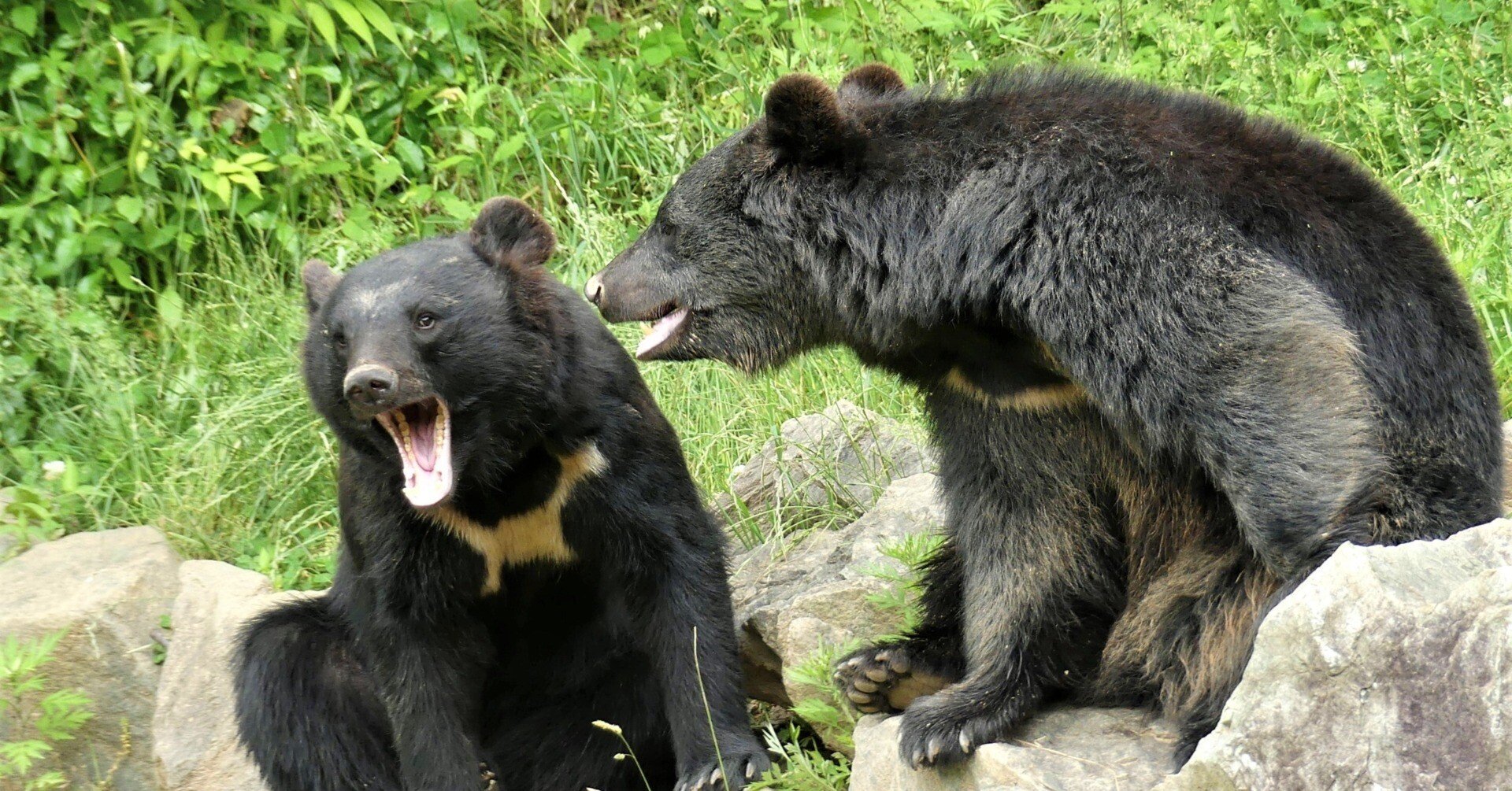 a4a8ff49c0a3be4902100648d20a8e