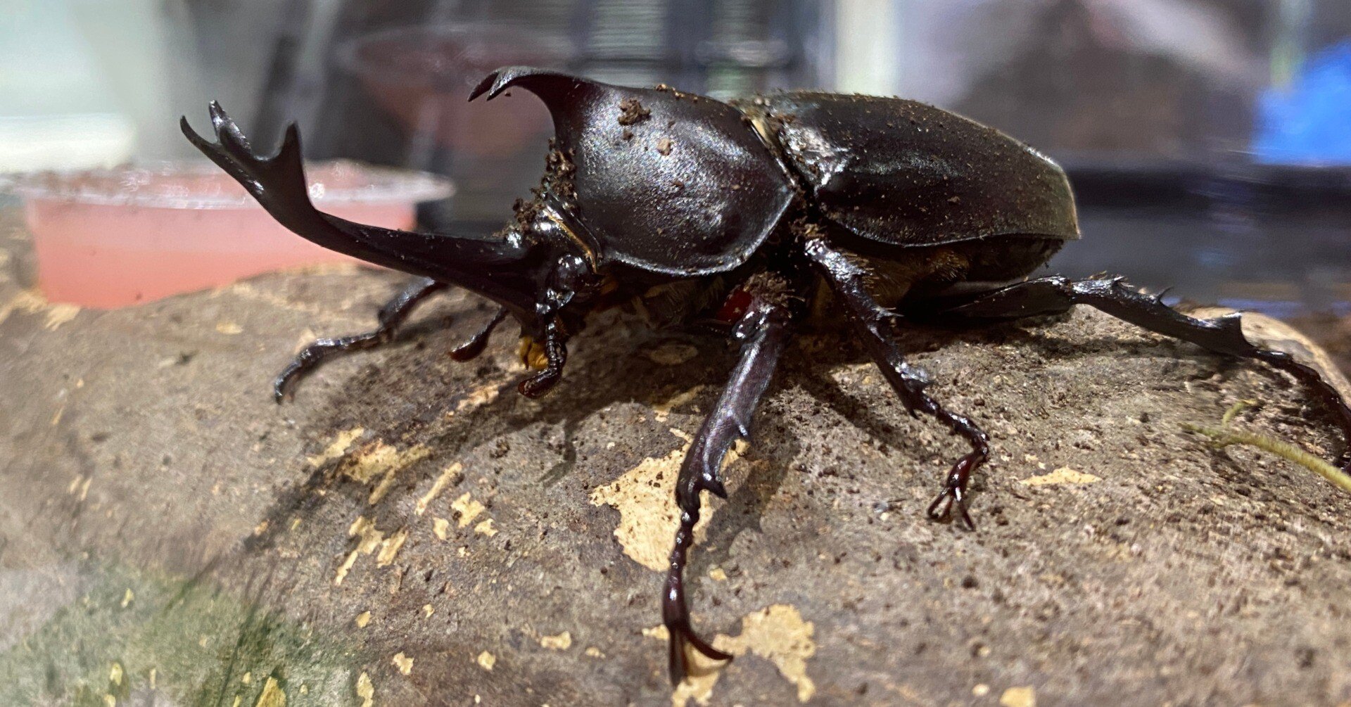 04d6a44e13d877ac6e95f5aff1d3ab