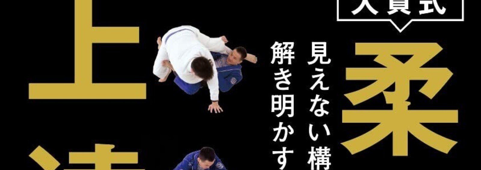 DVD 柔術 大賀幹夫の絞め・間接技メソッド （ブラジリアン柔術