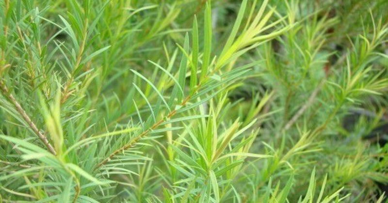 水虫改善 の新着タグ記事一覧 Note つくる つながる とどける 水虫改善 の新着タグ記事一覧 Note つくる つながる とどける