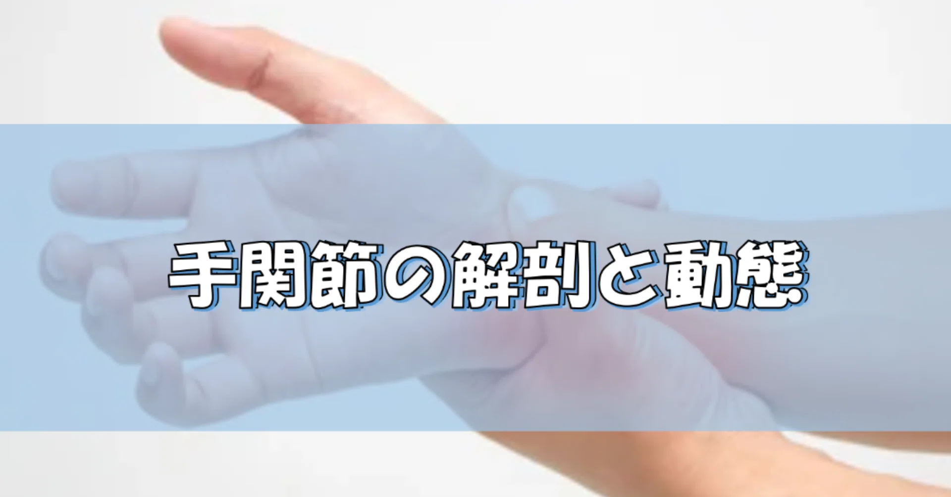 手関節の解剖と動態｜Asumi.Kumada