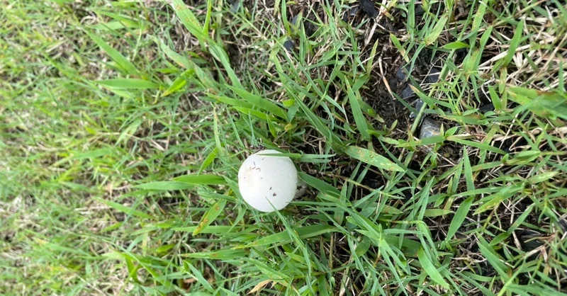 修養科潜伏日記　14日目