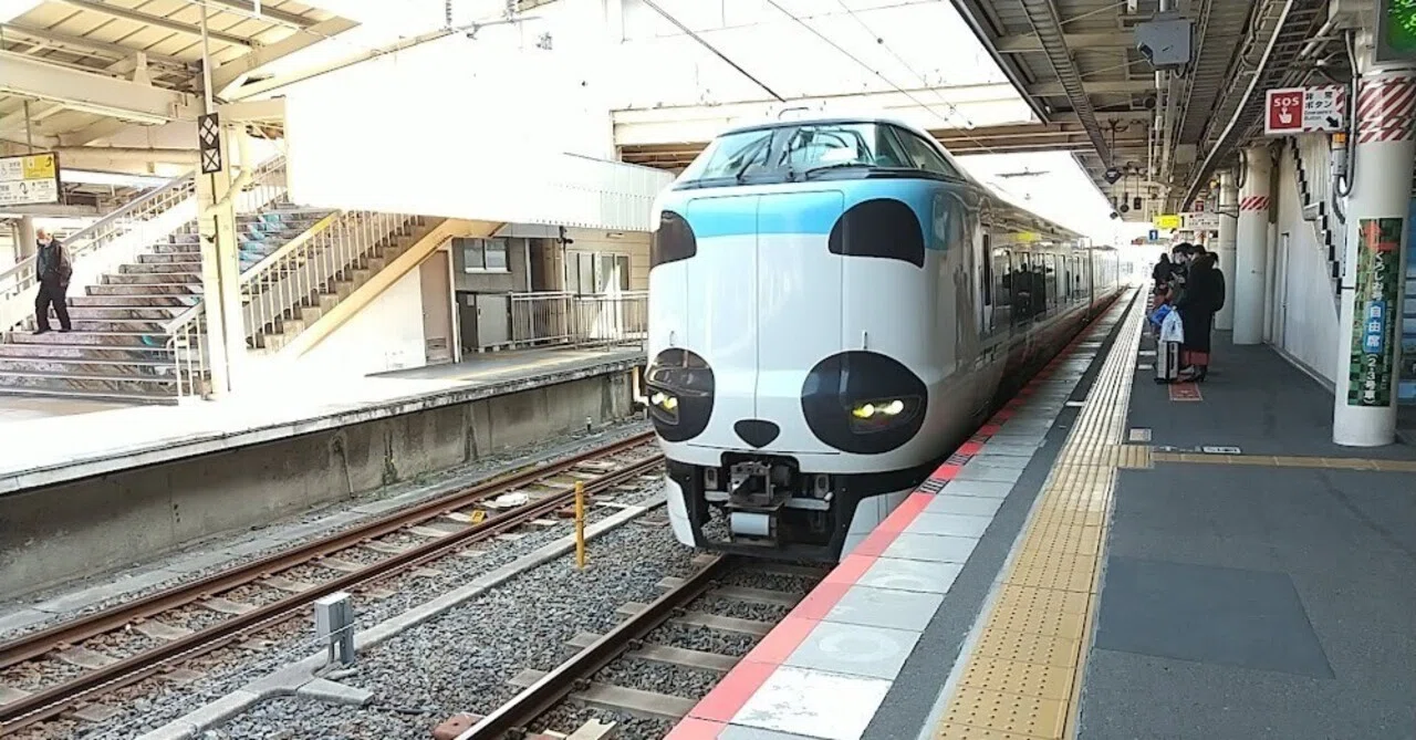 白浜(和歌山)を拠点にできそうなこと【サイコロきっぷ4】｜タビシリ 