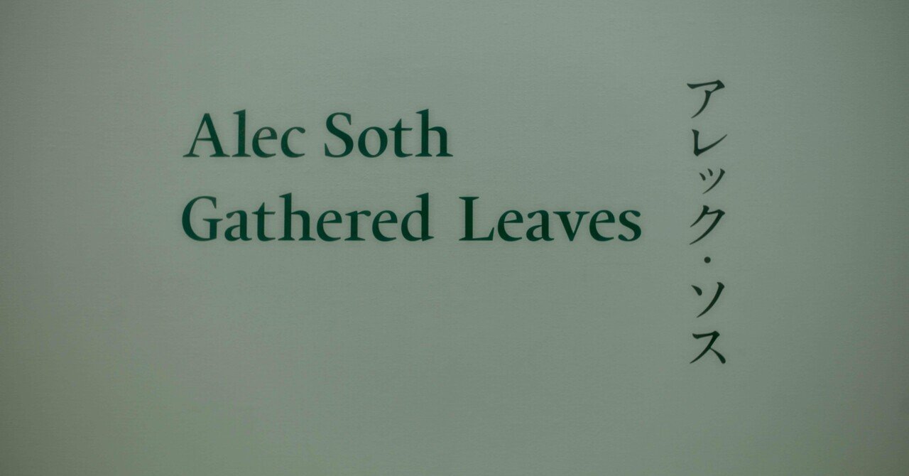 アレック・ソスの写真集と Tシャツ｜kuno_yasuhiro