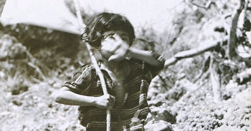 88c18c5558ef530cc7a21bfb8d4ae1