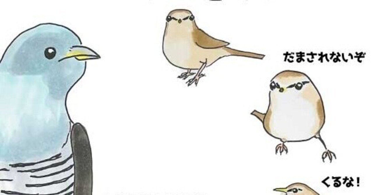 やべえホトトギスがきた 自然ガイドのネタ帳 くますけ Note