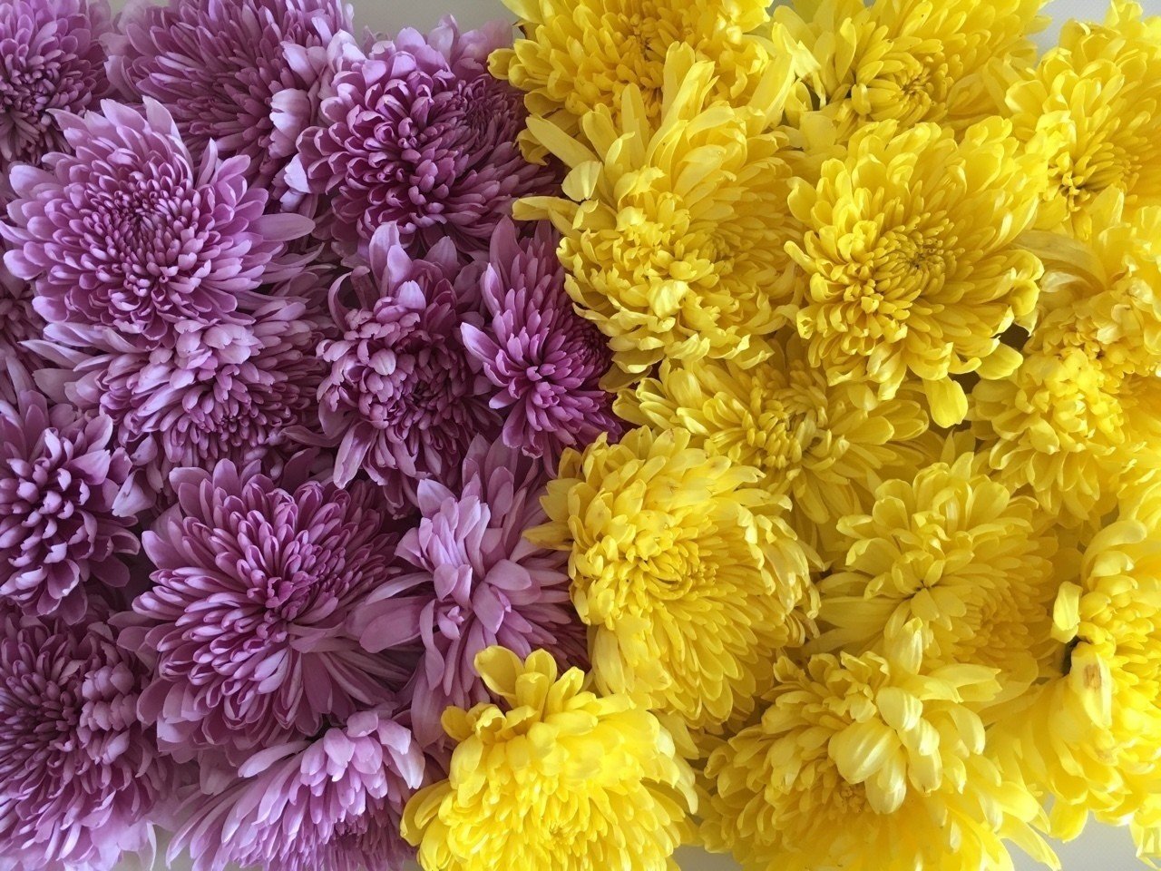 魚住料理帖 おうちごはん編 魚住 陽向 Note