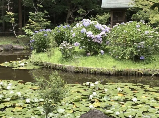 画像7
