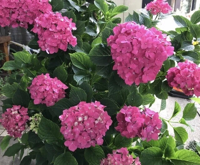画像10