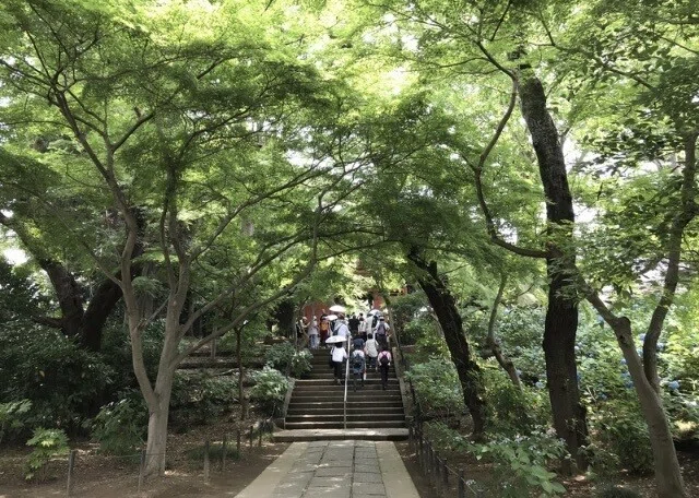 画像16