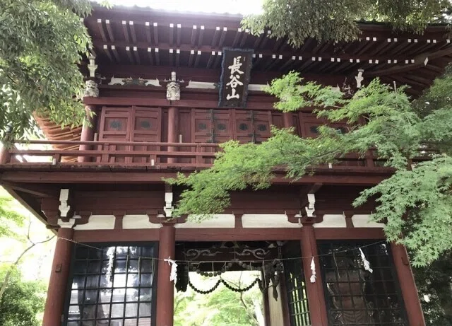 画像17