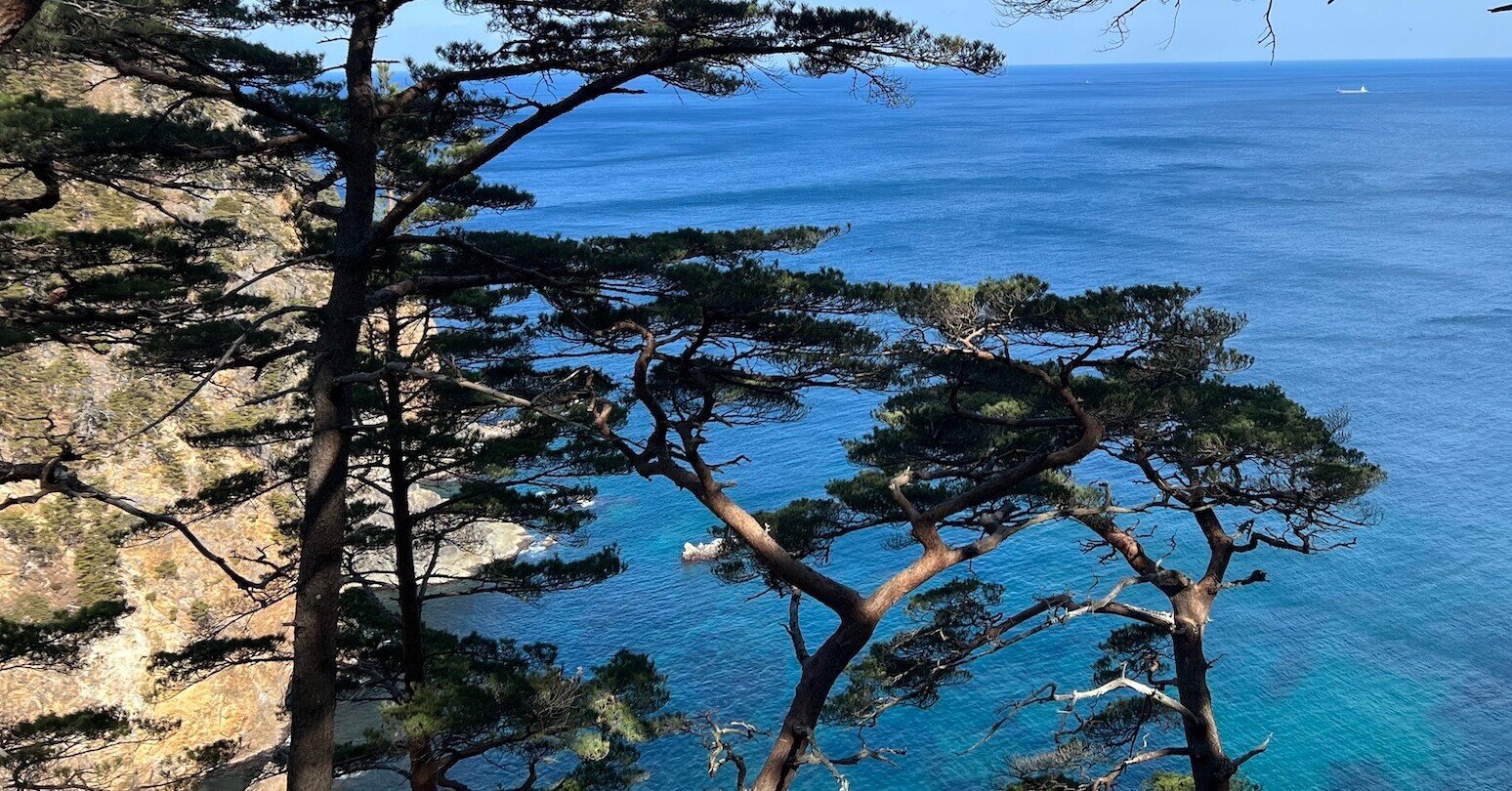 松葉で、日々をもっと豊かに。