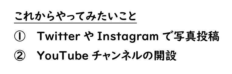 4 これからやってみたいこと Ren 男子高校生の日常 Note