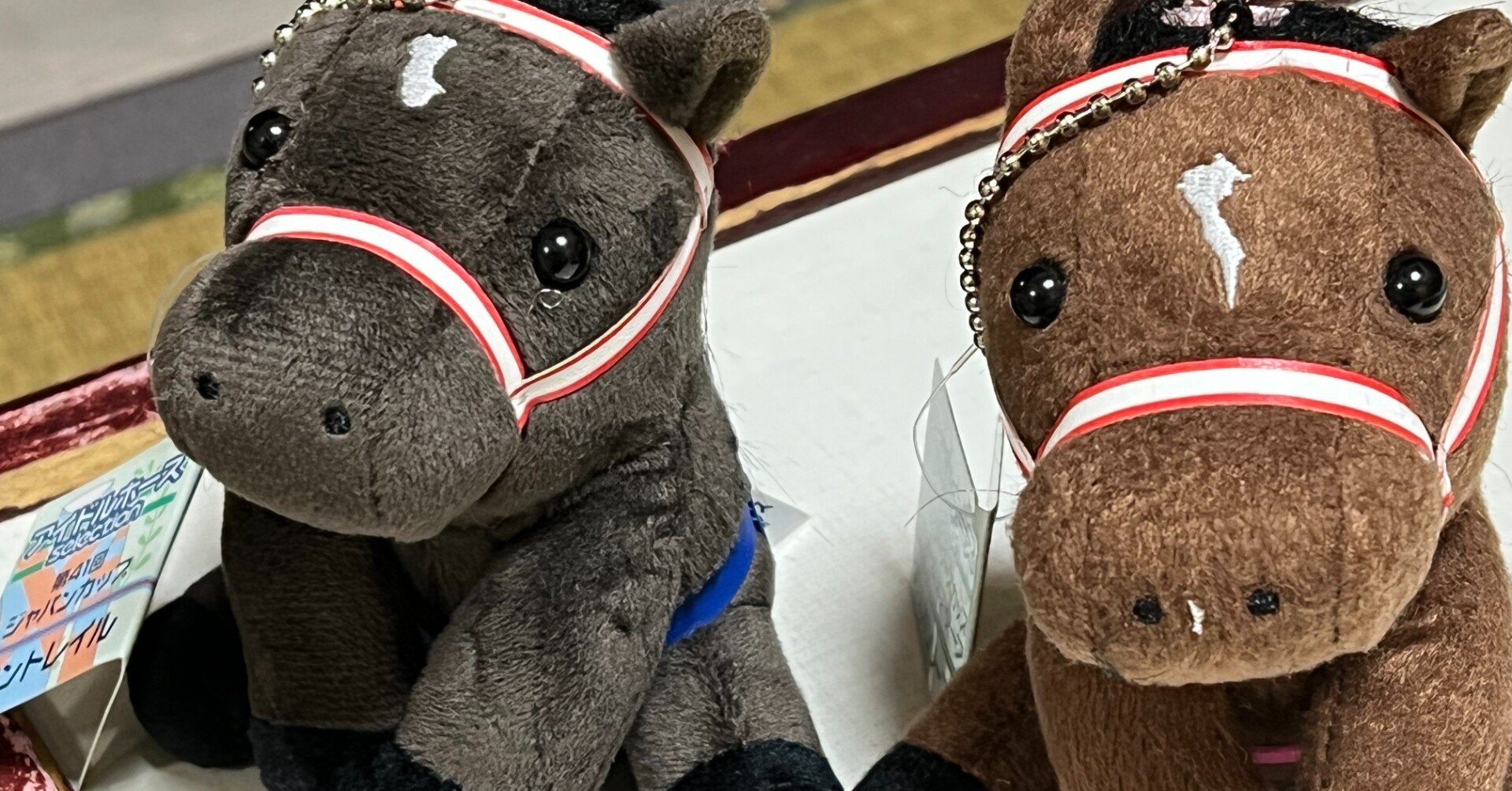 競馬　センテリュオ　アイドルホース アイドルホースオーディション2025」最終結果 3頭が新たに