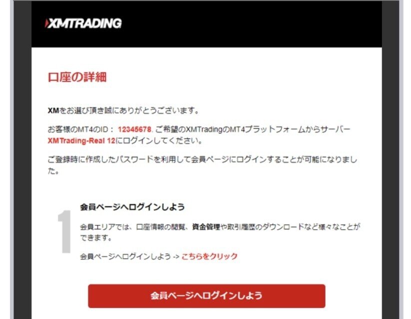 画像13