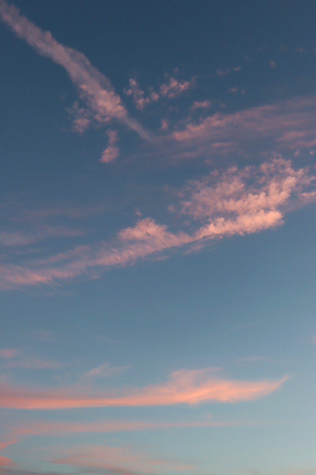 ピンク色の雲 ひら Note