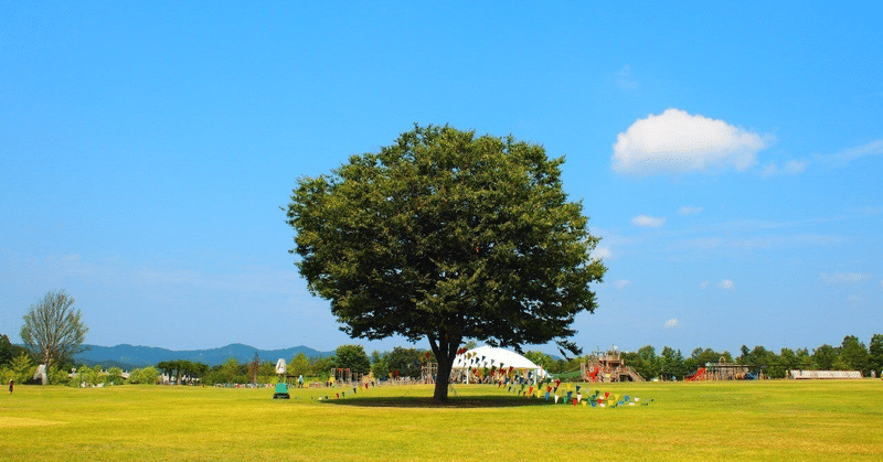 世界の樹。