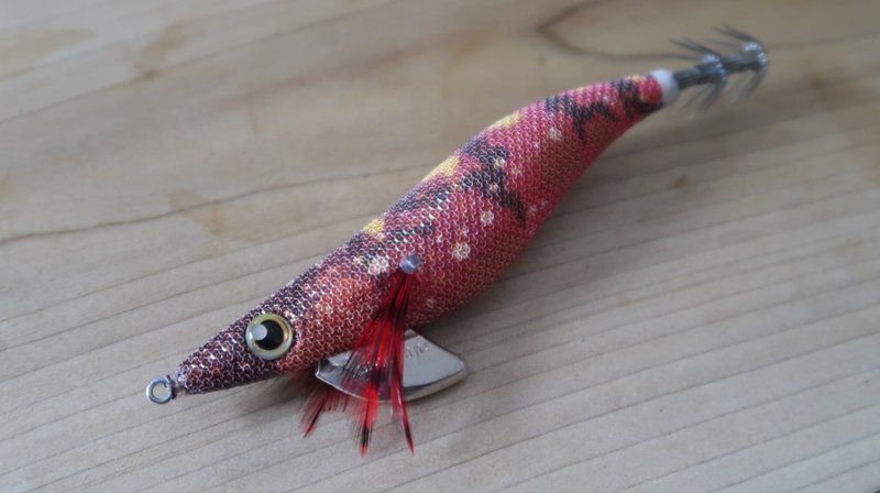 秋はイカ釣りの季節 八重樫剛 Note