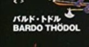 至聖の人生とその教え。本「ミラレパ―チベットの偉大なヨギー」☆3,5