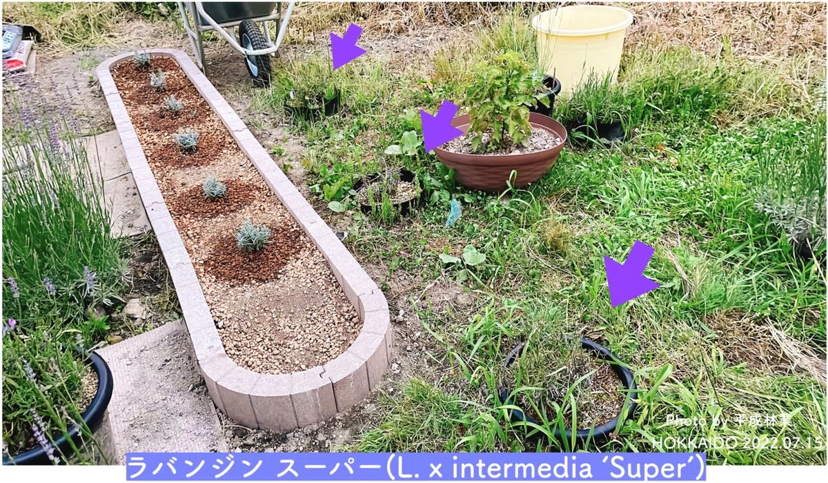 スクリーンショット 2022-07-16 22.15.03