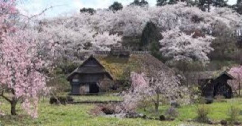 パフォーマンスいわれ２２　サディスティックサーカス15　２０１６「安達ヶ原 黒塚」