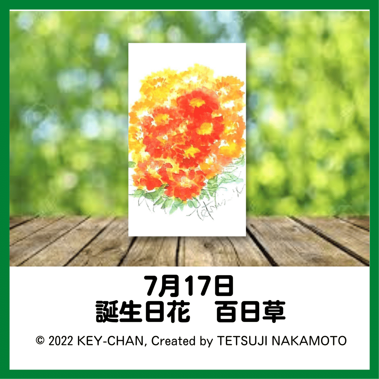 百日草は 7月17日の誕生日花です Key Chan Note