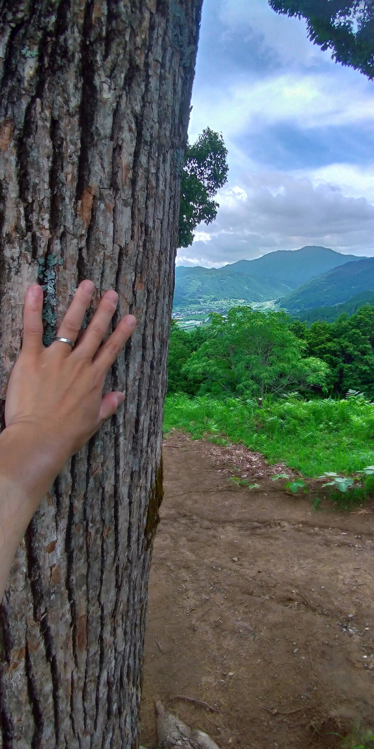 R喜び愛情感謝学び成長日記 覚悟力で愛を与える 覚悟力で感謝を伝える 覚悟力で喜びを感じる すべては導かれる 正負の法則 3行日記 人生無駄無し 嫌な 覚悟すれば嫌削除 包み込みの愛 Note