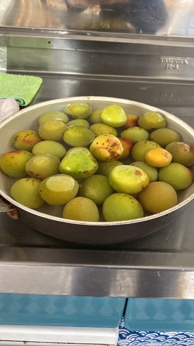 3夏至だ 梅酒だ ある日の大学四年生 アメリカ横断する00年boy Note 3夏至だ 梅酒だ ある日の大学四年生 アメリカ横断する00年boy Note