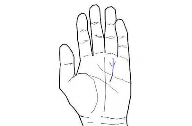 手相✋ ～大成功しそうな最強サイン～｜パッション