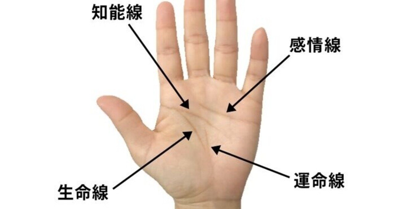 手相✋ ～大成功しそうな最強サイン～｜パッション
