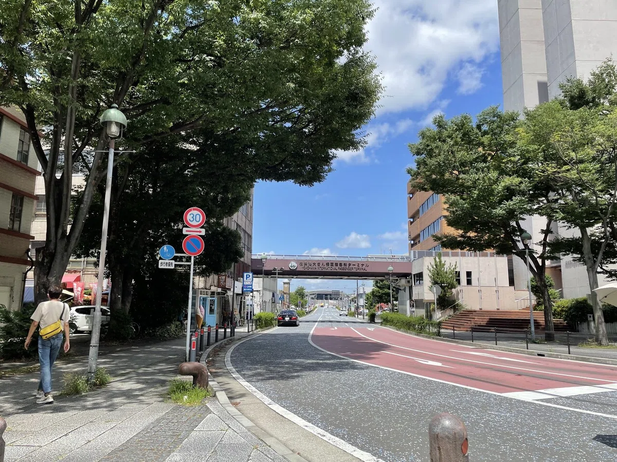 画像6