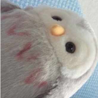 吾輩は鳥である Note