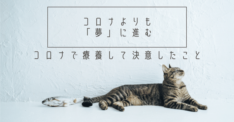 夢を掲げて田舎移住しました。そんな日に突然にアレはやってきました。