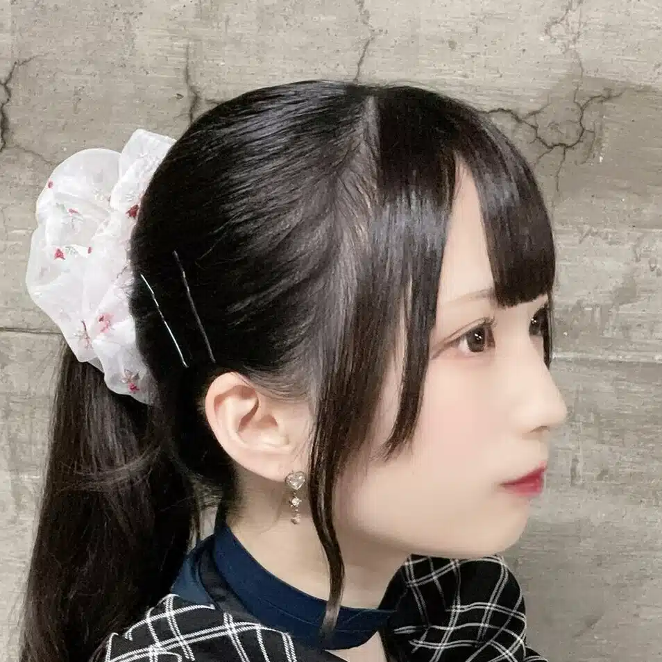 ひよこ