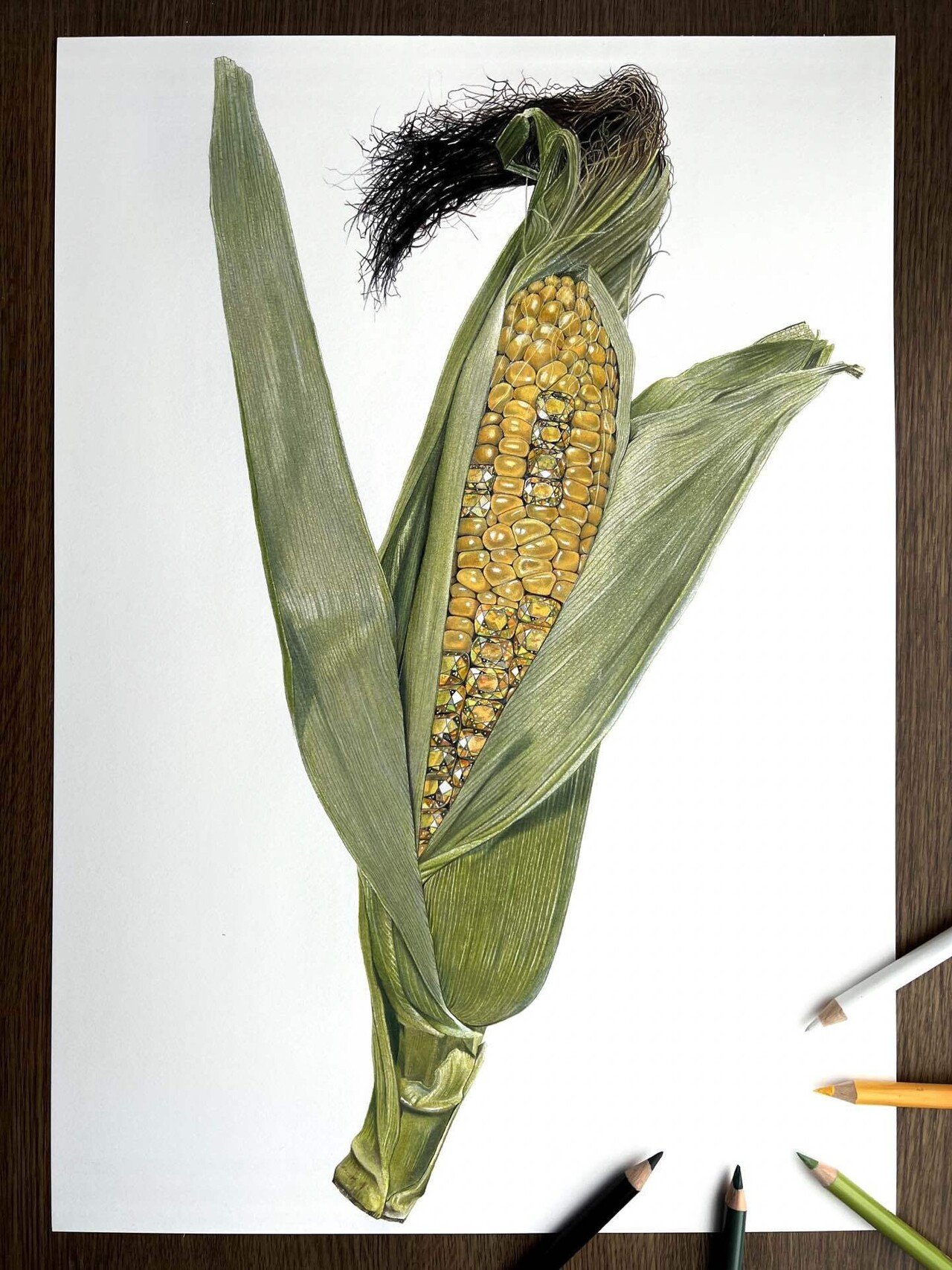 トウモロコシ スフェーン 安部祐一朗 Yuichiro Abe Note