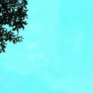 語学書書評 | オススメのドイツ語参考書｜山根あきら | 哲学者