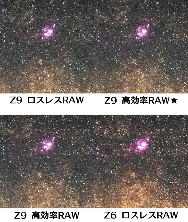 Z9_RAW比較_レタッチ拡大