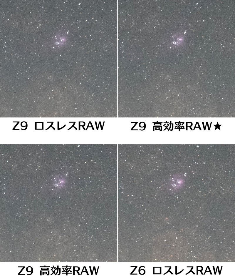 Z9_RAW比較_撮って出し拡大