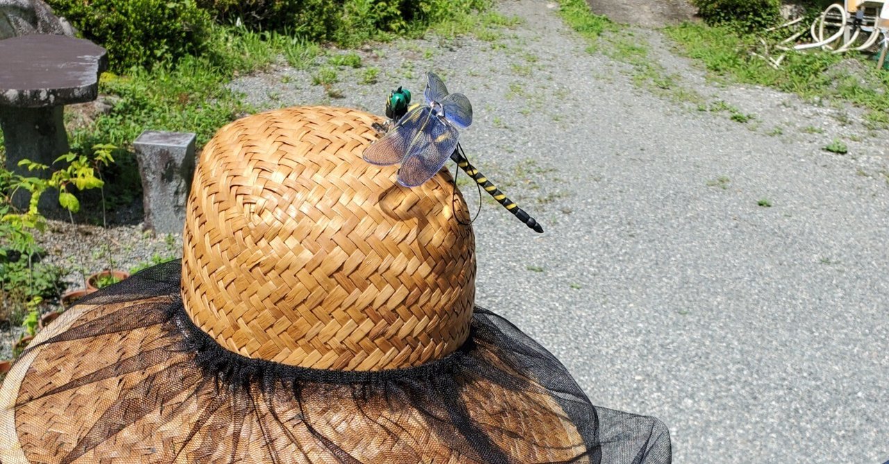 完璧になった麦わら帽子👒｜佐藤亜紀(大熊町/Fukushima)