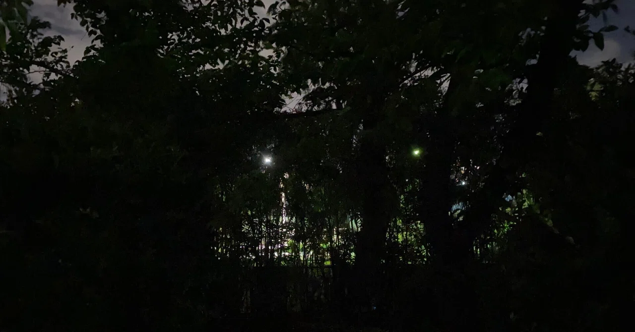 夜の風はいつだって 22/7/19｜、、、